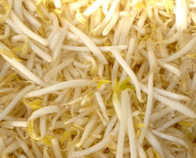 Germen de Beansprouis