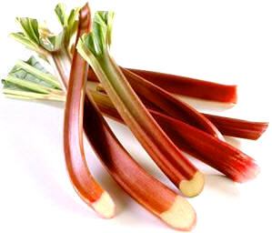 Ruibarbo