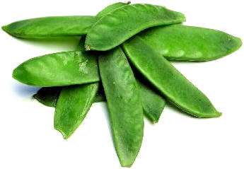 Guisante de la variedad tirabeque (Pisum sativum variedad Macrocarpon)