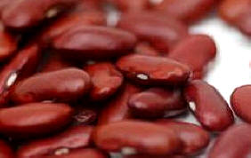 Judías rojas de Tolosa