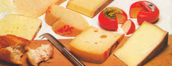 Quesos duros y semiduros