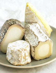 Tipos de quesos cremosos semimaduros 