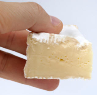 Queso Camembert