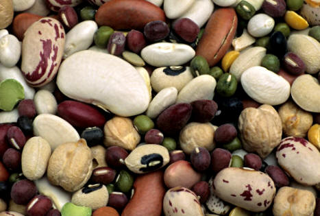 Legumbres