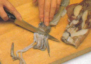 Limpieza de cefalópodos