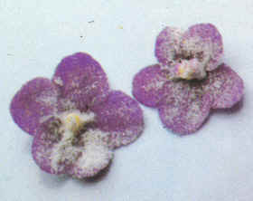 Decoración de frutas y flores