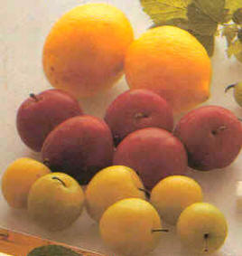 Cómo hacer conservas azucaradas