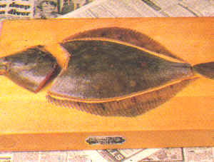 Limpieza de pescados