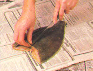 Limpieza de pescados