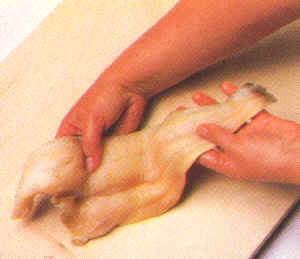 Limpieza de pescados