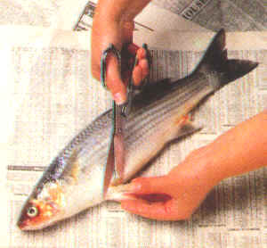 Limpieza de pescados