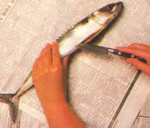 Limpieza de pescados