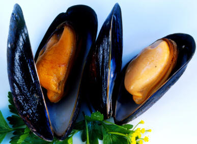 Mejillones