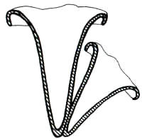 En el dibujo, se presenta una sección para mostrar el margen enrollado y la cavidad interior.