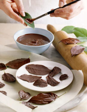 Hojas de rosa con chocolate