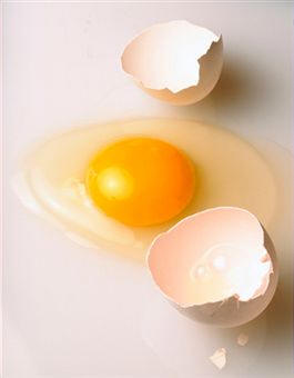 Yema de huevo de gallina