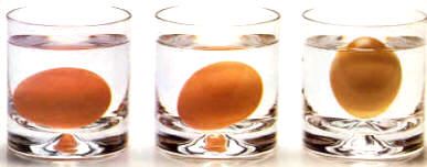 Cómo saber si un huevo es fresco