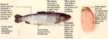 wpe6.jpg (22888 bytes)