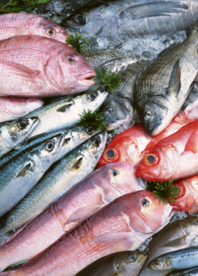 Algunas variedades de pescados comestibles