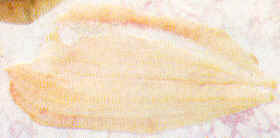 Filete de pescado plano