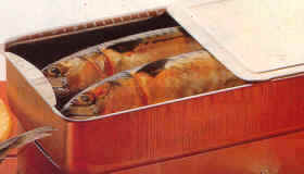 Ahumador casero de pescado