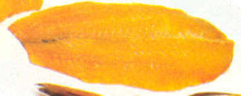 Abadejo ahumado en frío