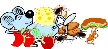 Plagas de insectos y roedores