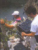 Ribeira Sacra: la viticultura heroica