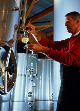 Tecnología de las enzimas: el vino