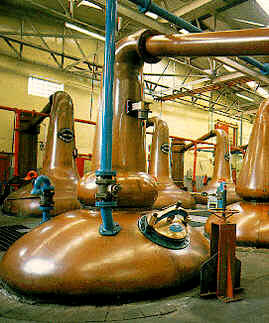 Fermentador de whisky