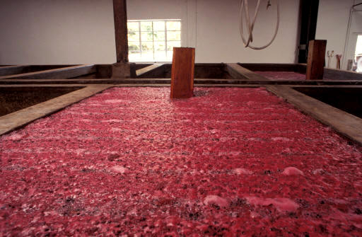 Fermentación del vino