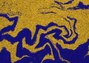 Los microorganismos constituyen un campo muy interesante de estudio para la producción de proteínas, debido a su altísima rentabilidad