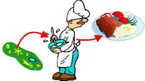 Las personas actúan como puente entre los microorganismos y los alimentos