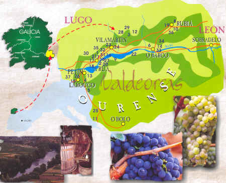 Denominaciones de origen: Zona de Valdeorras