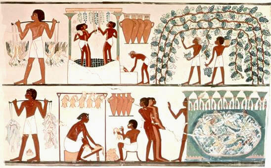 Escena de la vendimia en el Egipto de la XVIII dinastía. Pintura de la tumba de Najt, Tebas