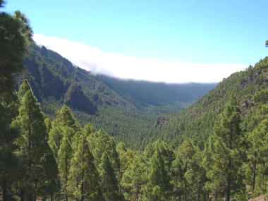 Caldera de Taburiente (La Palma)