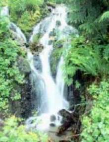 bosque, fauna, y recursos de agua