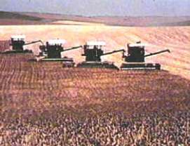 desarrollo de la agricultura 