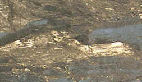 carbón, recurso natural