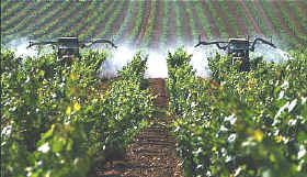 utilización de plaguicidas o insecticidas