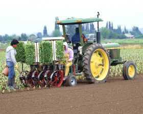 modernización técnica y especialización de cultivos 