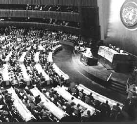 Organización de Naciones Unidas 