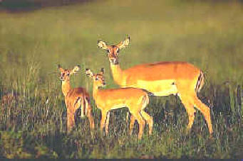 espacios reservados o protegidos