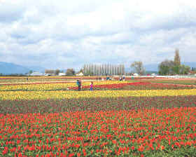 ordenación territorial: suelos y recursos