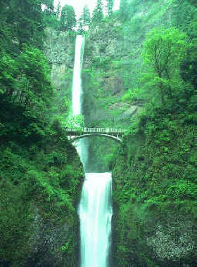 Cascadas Multnomah en el bosque nacional del Monte Hood 