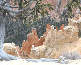 protección de las cuencas hidrológicas