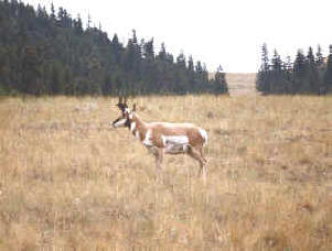 Parques nacionales, reservas, espacios recreacionales