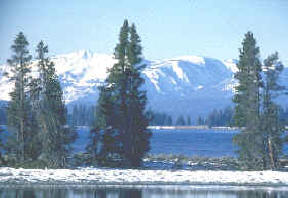 Parque Nacional de Yellowstone 