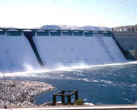 presa y peces migratorios