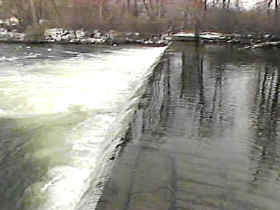 Río: movilidad de los salmónidos hacia los frezaderos